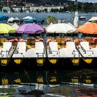 Sonne am Zürichsee