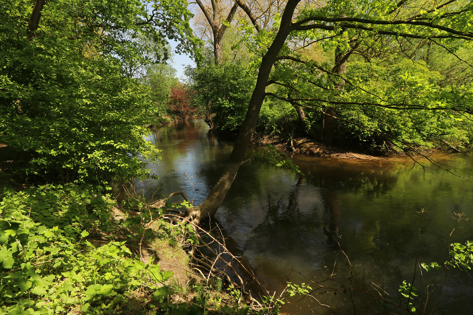 Sonne an der Flussbiegung