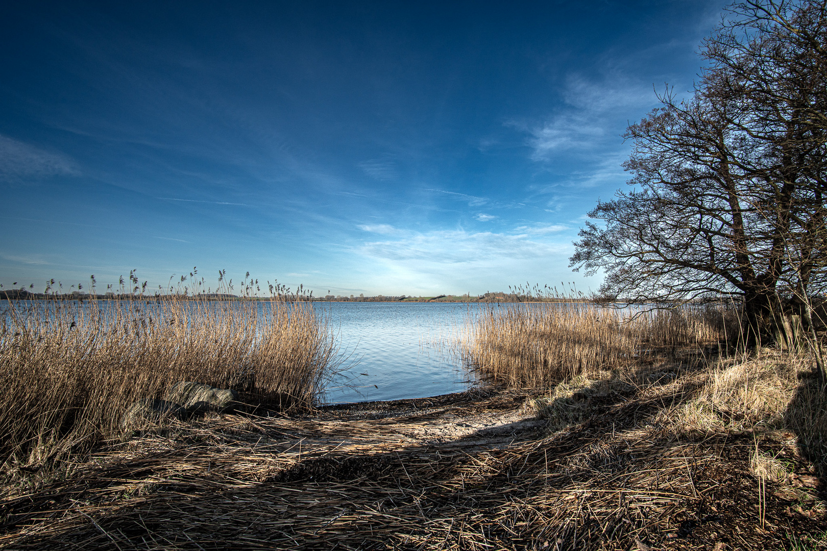 Sonne an der Schlei.