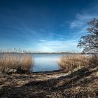 Sonne an der Schlei.