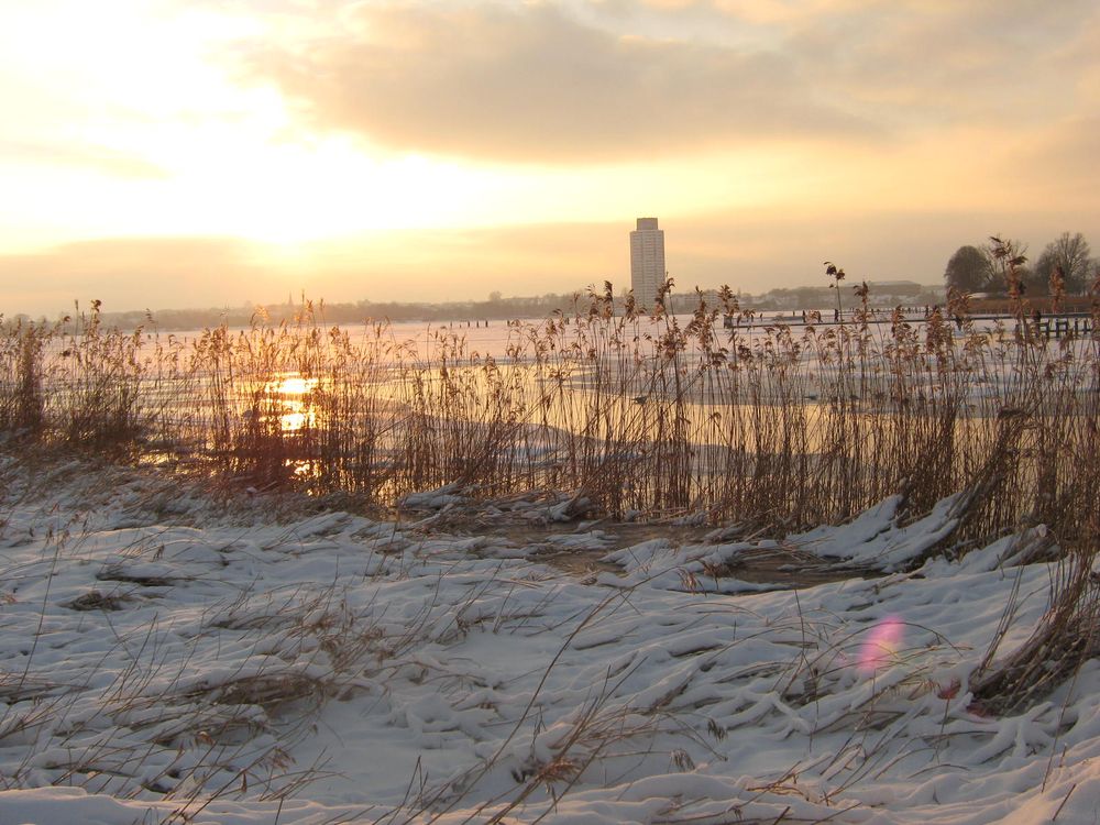 Sonne an der Schlei