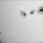 Sonne AR11302