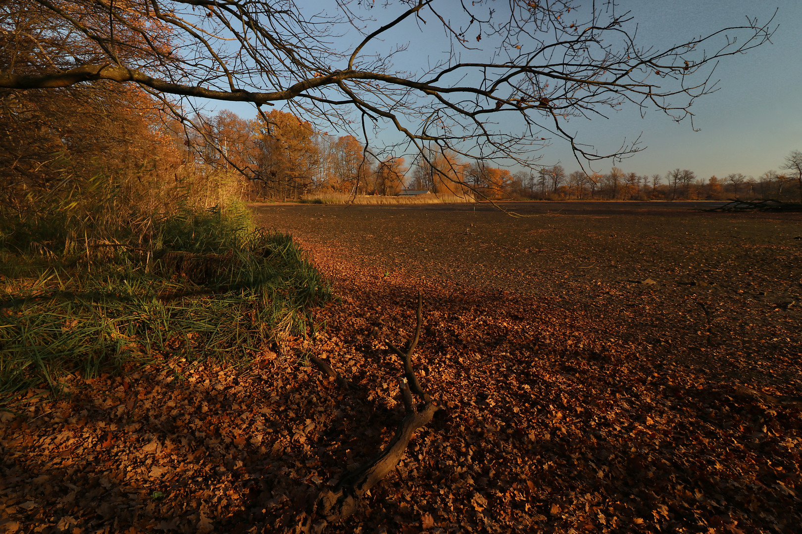 Sonne auf dem Teichgrund