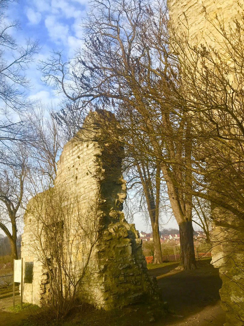 Sonne auf der Burgruine in Hofen 