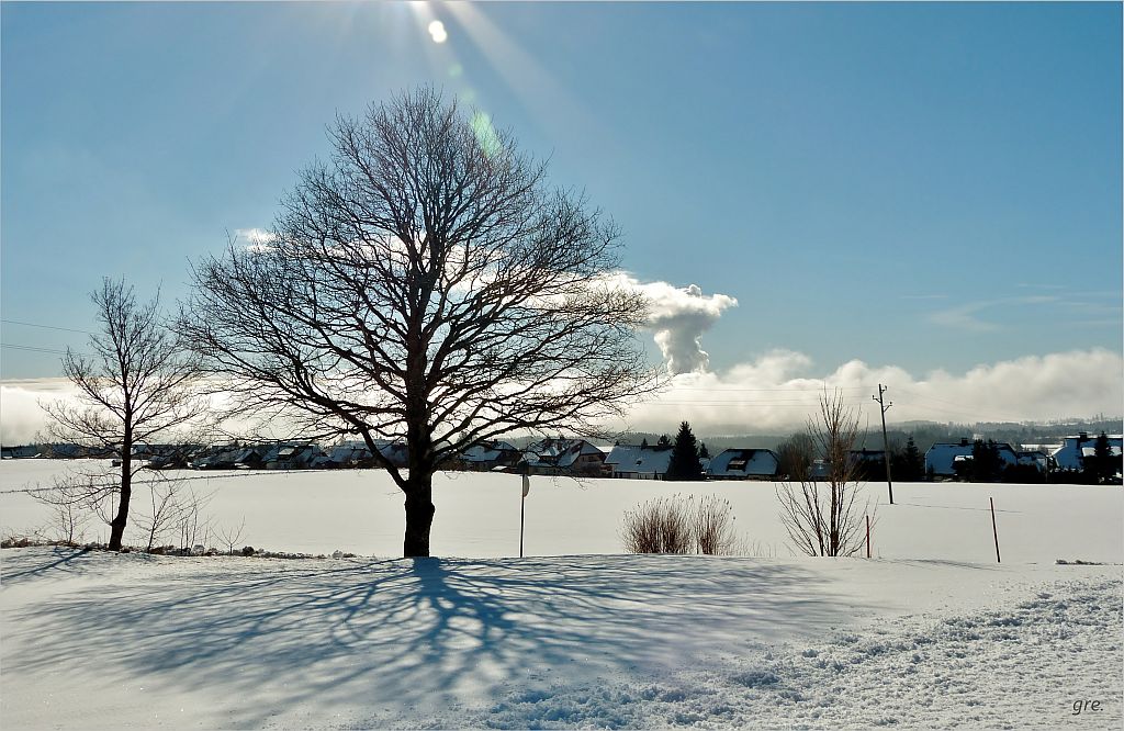 Sonne auf Schnee