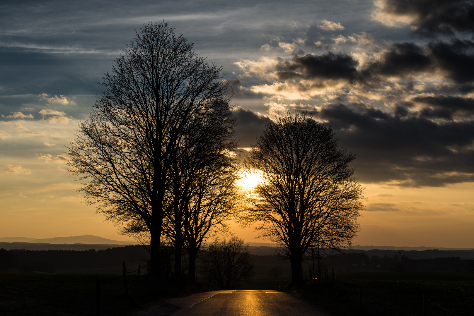 Sonne, Bäume und Himmel