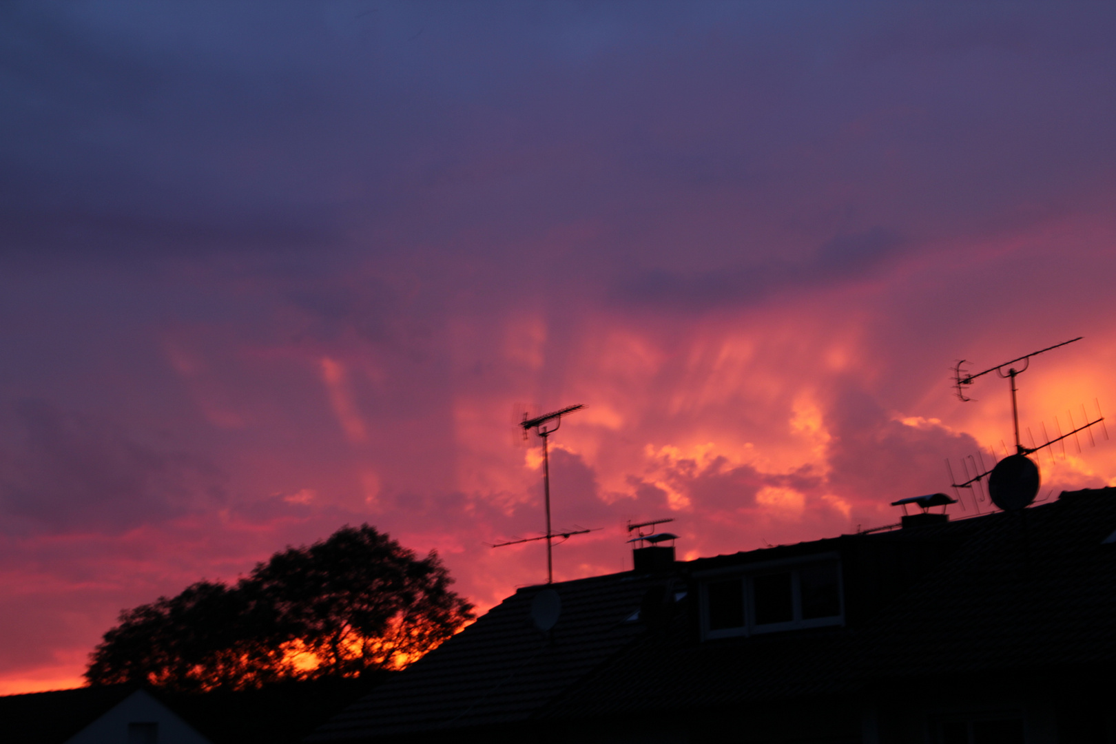 Sonne, Bäume, Wolken