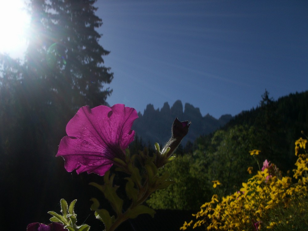 Sonne begrüßen