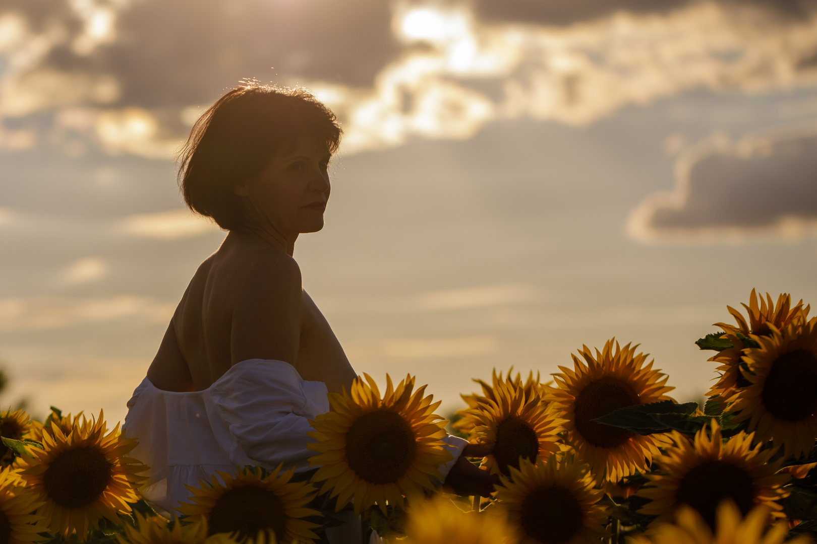 Sonne, Blume, Sonnenblume