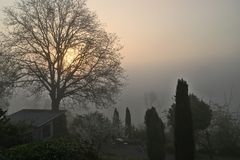 Sonne bricht duch den Nebel