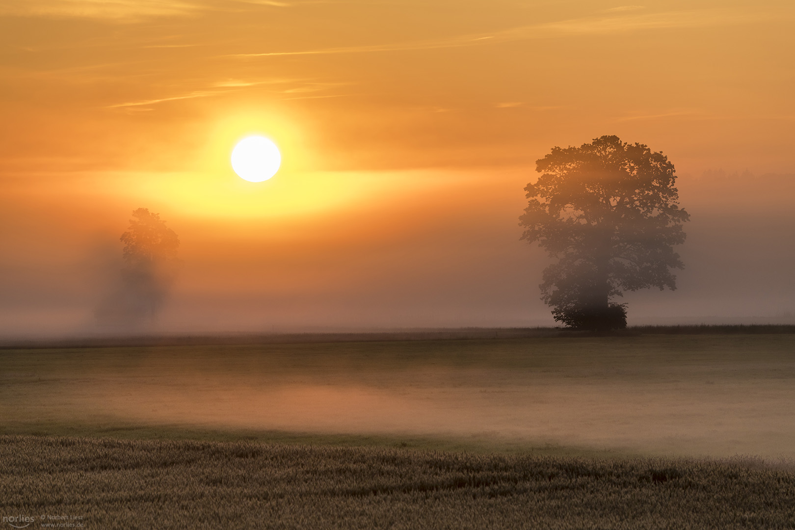 Sonne bricht durch den Nebel