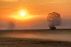 Sonne bricht durch den Nebel