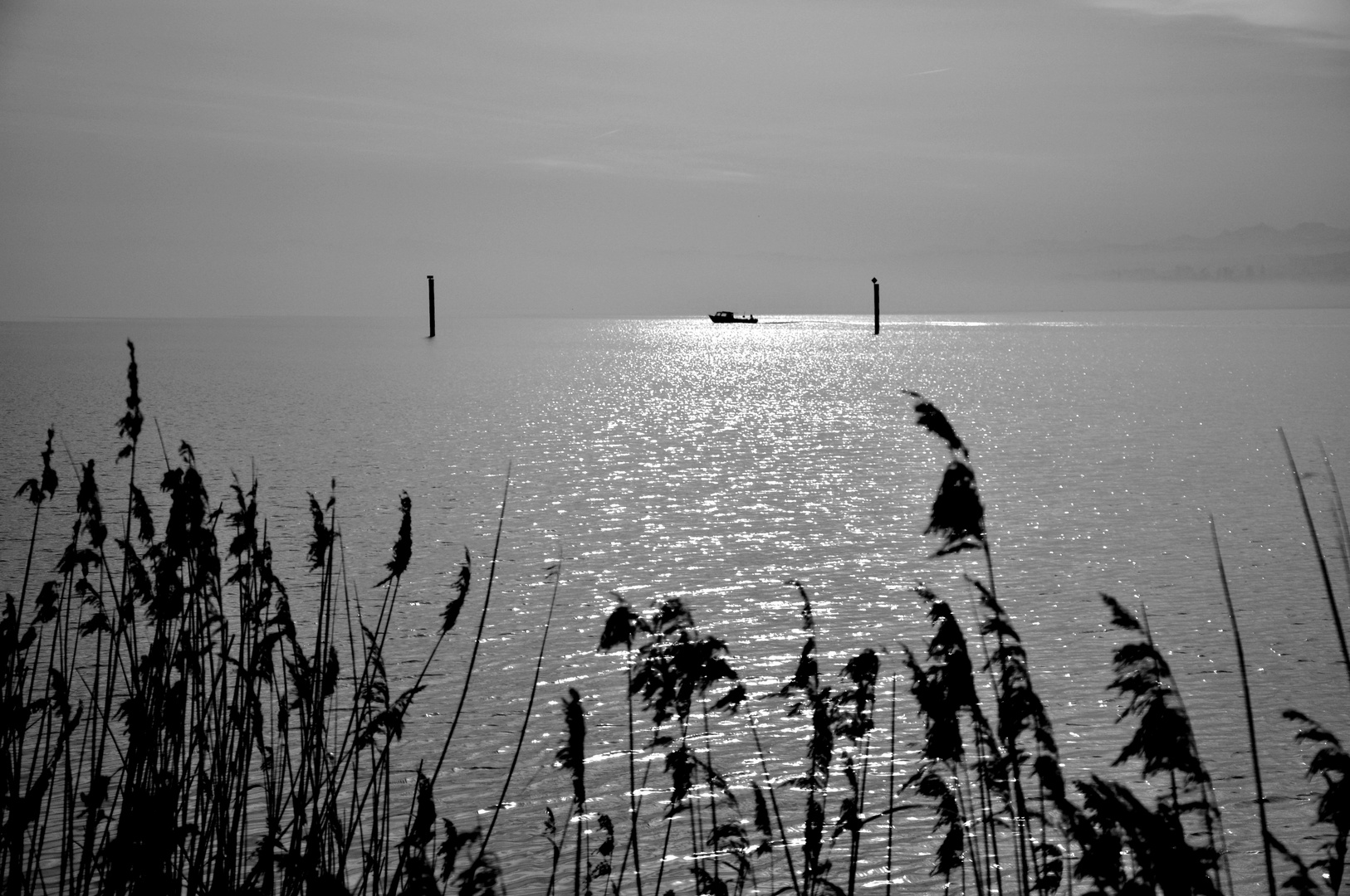 Sonne bricht durch den Nebel