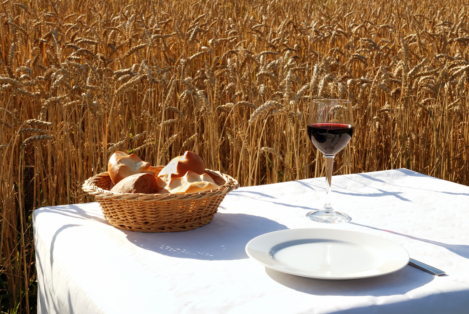 Sonne, Brot und Wein