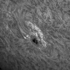 Sonne - Chromosphäre mit Sonnenfleck