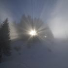 Sonne dringt durch den Nebel