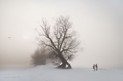 Sonne durch den Nebel