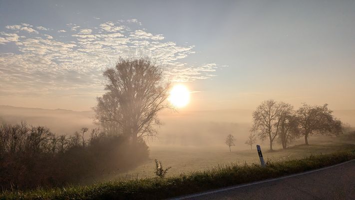 Sonne durch den Nebel