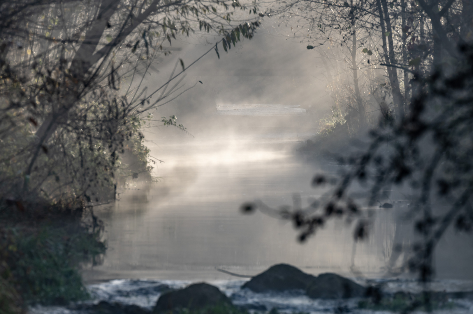 Sonne durchdringt den Nebel