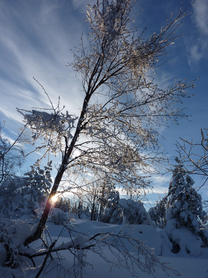 Sonne, Eis und Schnee - welch eine Pracht!