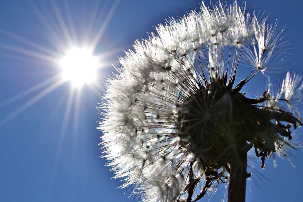 Sonne - Energie des Lebens... von Birgit-Kira 