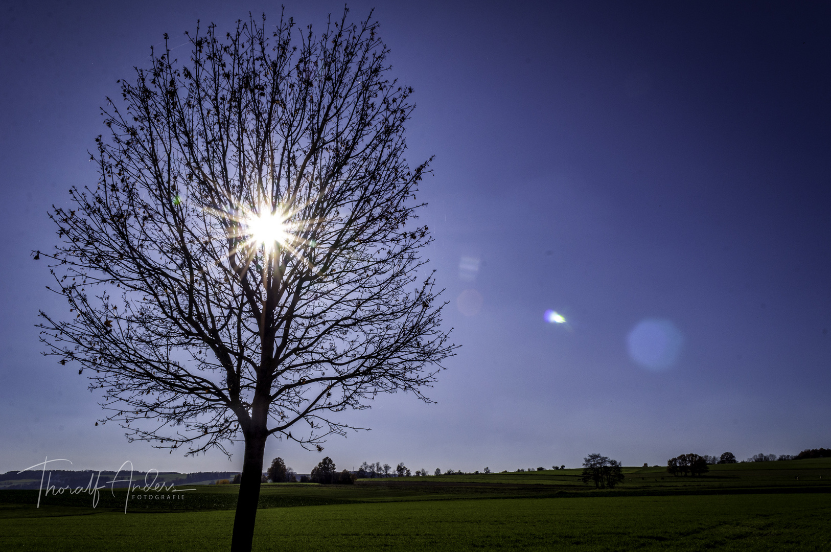 "Sonne!"