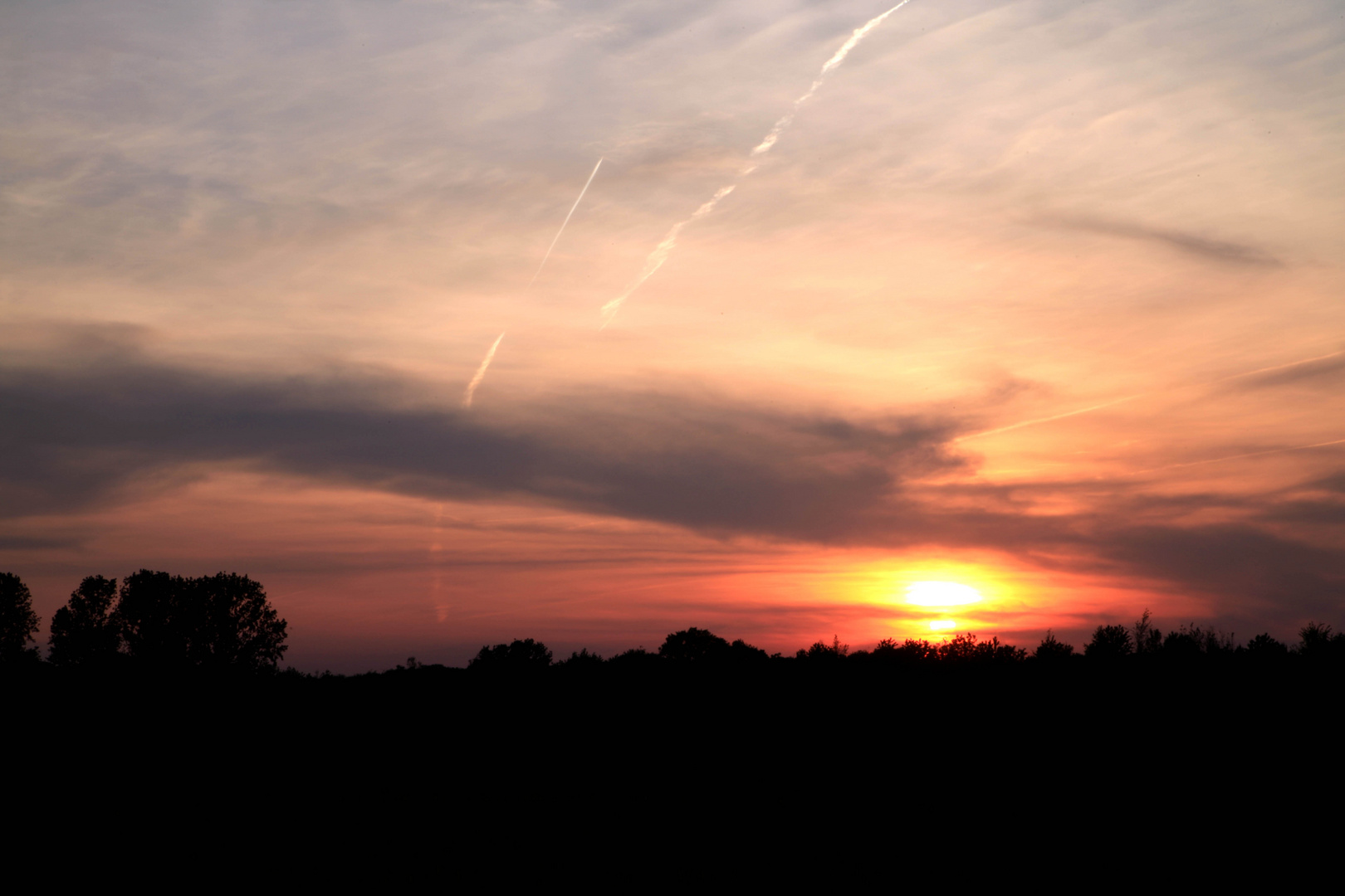 Sonne fällt ins Feld