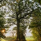 Sonne fängt an durchzublicken