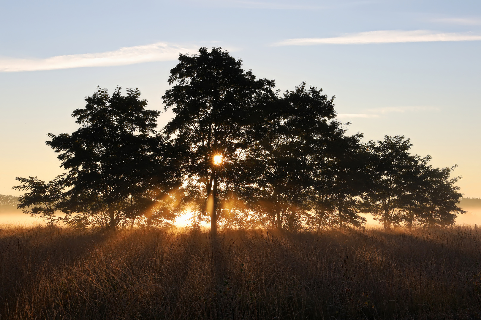 Sonne fängt an durchzublicken