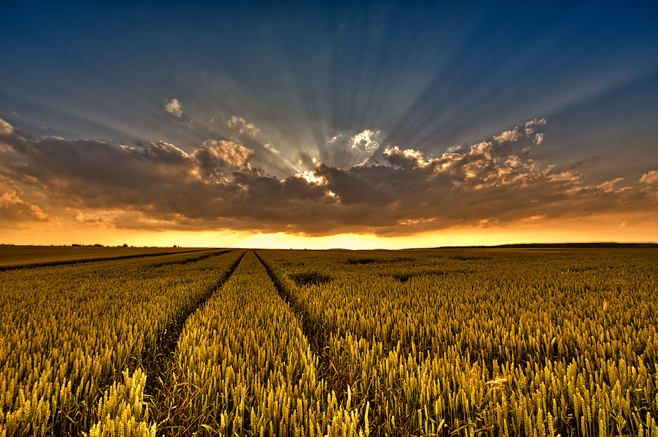 Sonne, Feld und Wolken