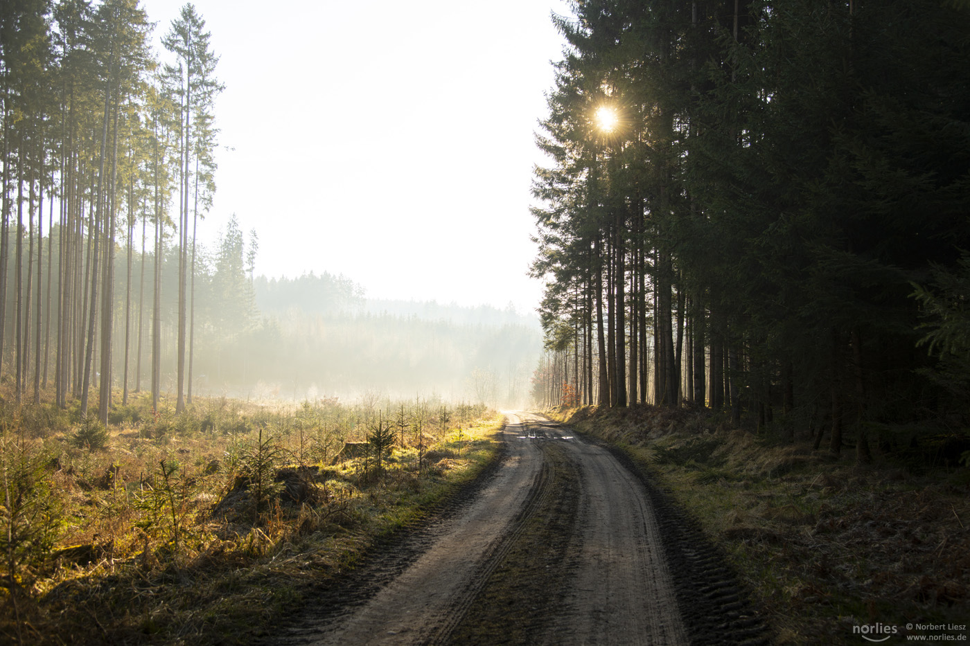 Sonne findet Lücke