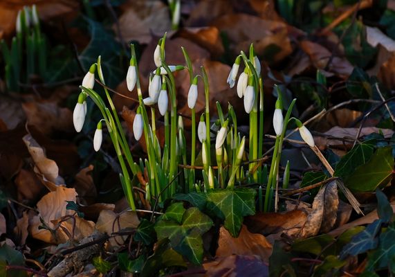 SONNE, FREUDE UND LIEBE AUF ALL DEINEN WEGEN