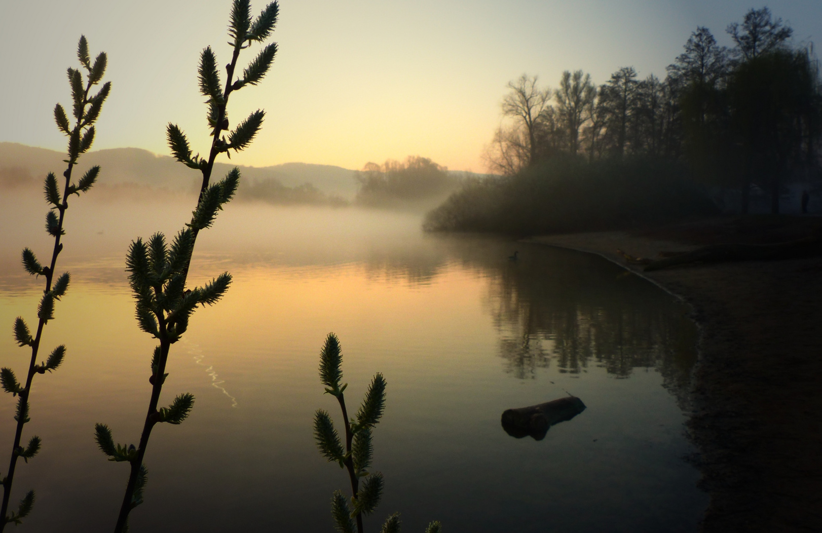 sonne frisst nebel