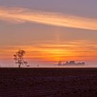 Sonne früh am Morgen