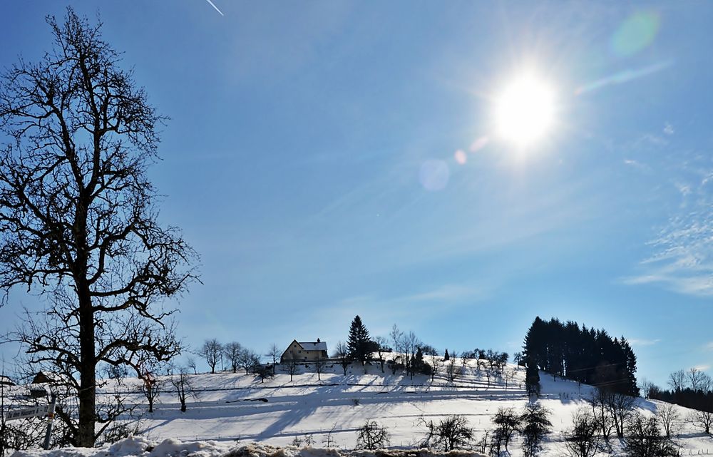 SONNE für ALLE ...