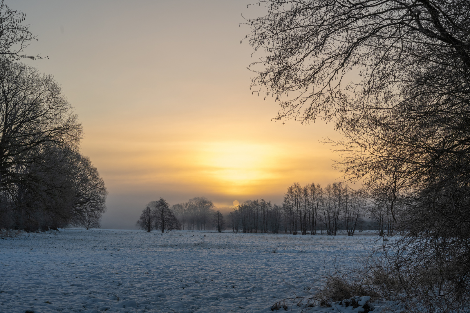 Sonne - ganz kurz...