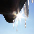 Sonne gegen Eiszapfe