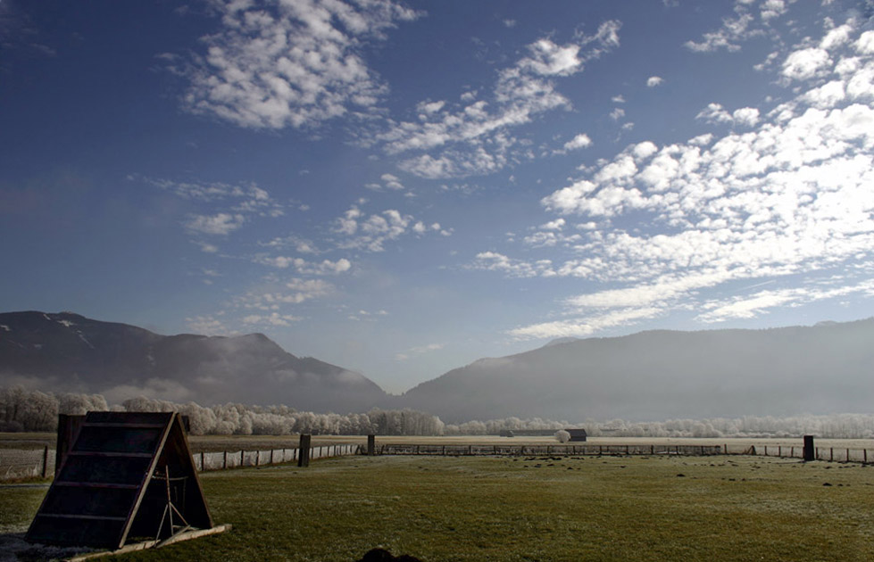 Sonne gegen Frost und Nebel