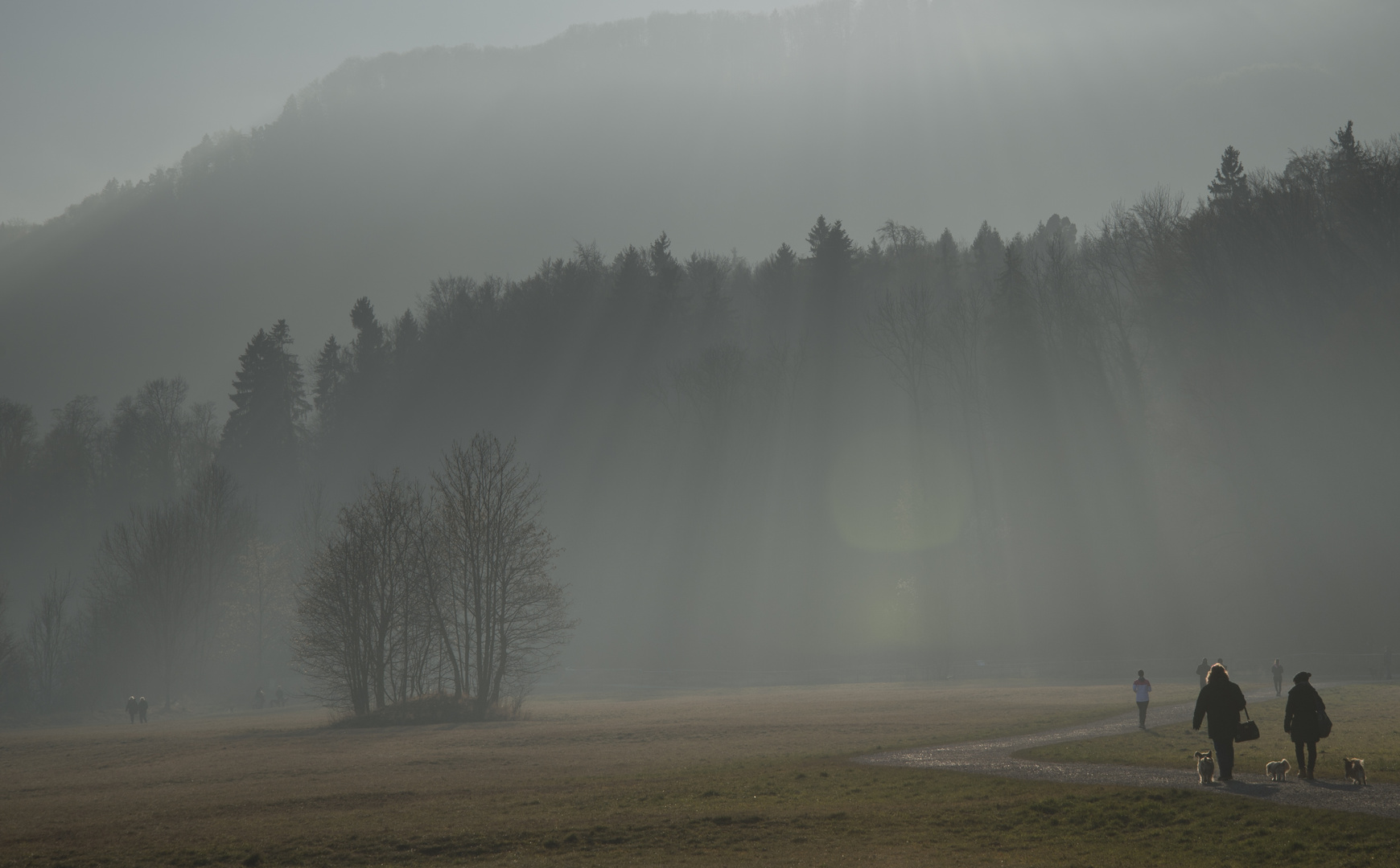 Sonne gegen Nebel