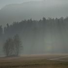 Sonne gegen Nebel