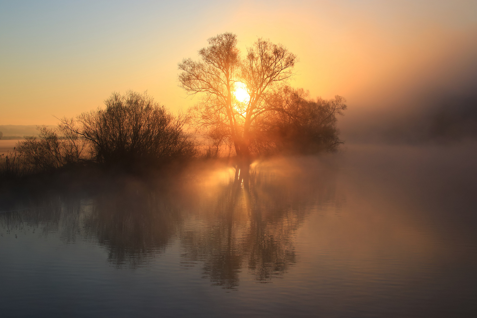 Sonne gegen Nebel