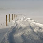 Sonne gegen Nebel