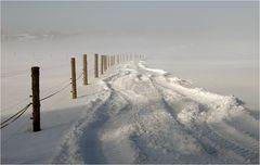 Sonne gegen Nebel