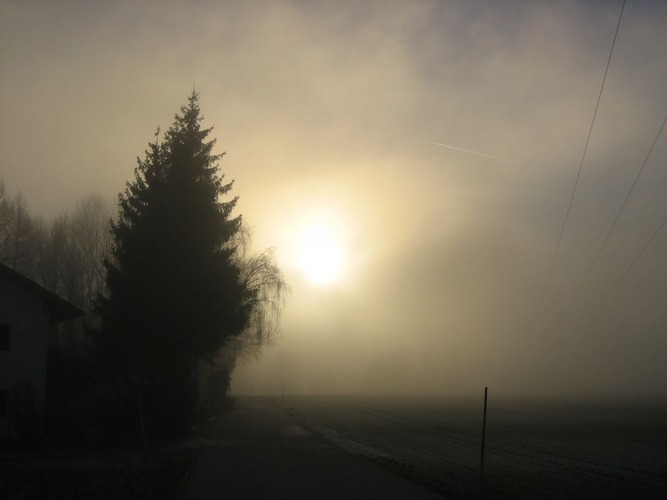 Sonne gegen Nebel