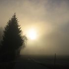 Sonne gegen Nebel