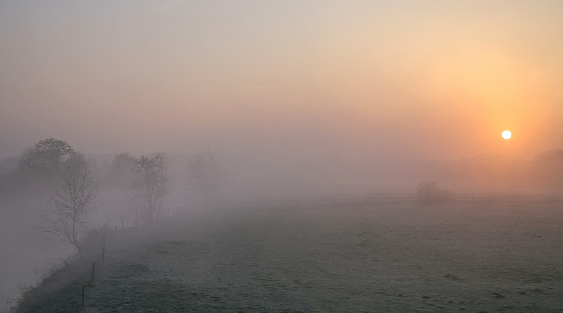 Sonne gegen Nebel