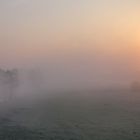 Sonne gegen Nebel