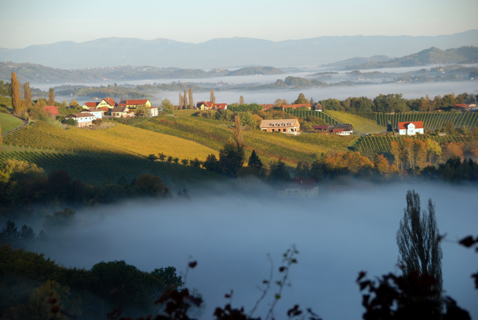 Sonne gegen Nebel