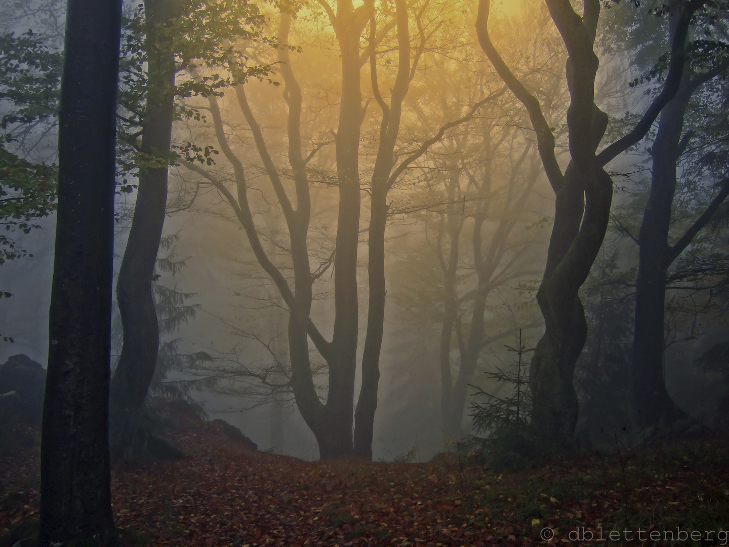 Sonne gegen Nebel