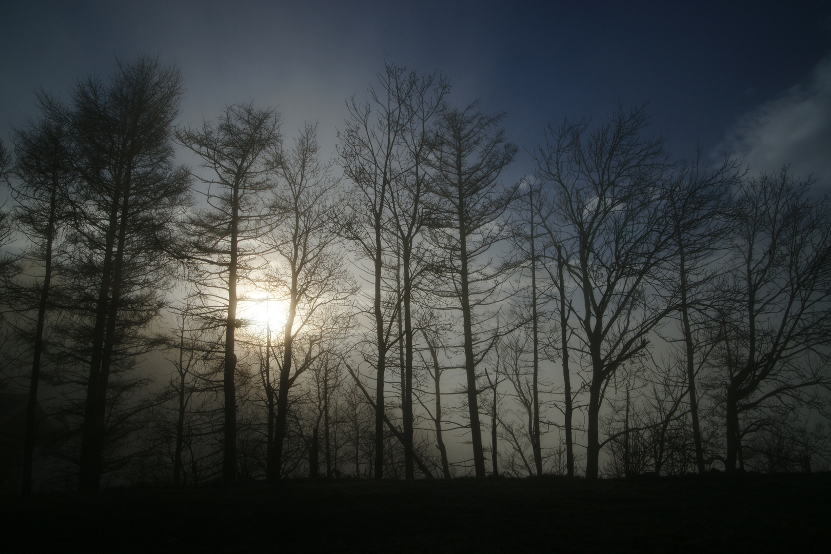 Sonne gegen Nebel